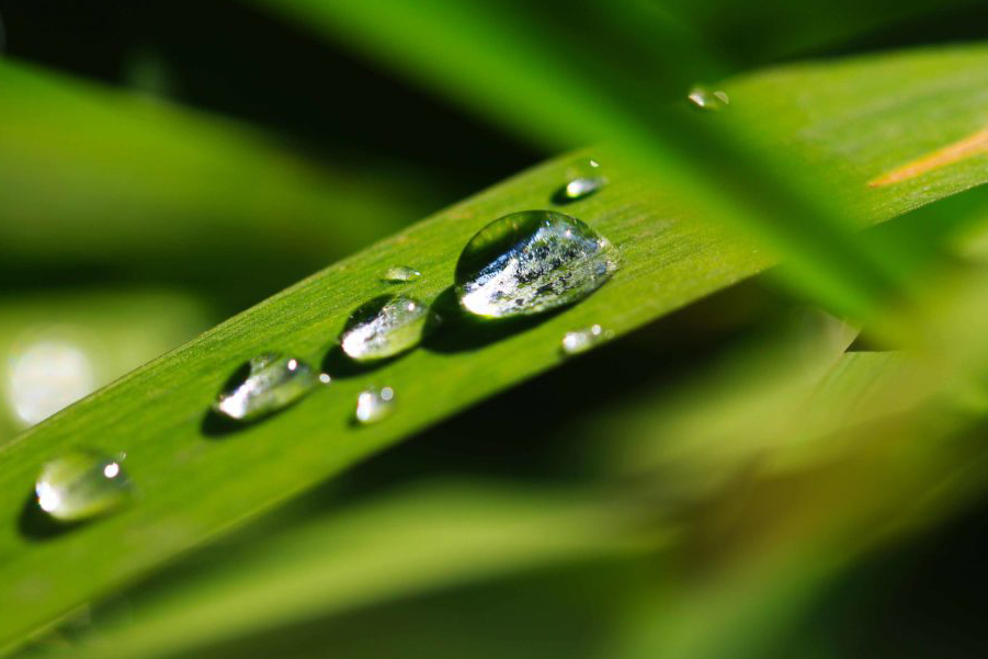 Theory of wet air FILCO, spol. s r.o.